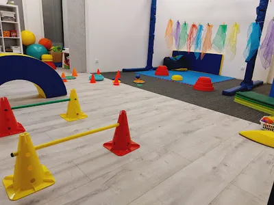 Niepubliczna Poradnia Psychologiczno-Pedagogiczna ANIMA